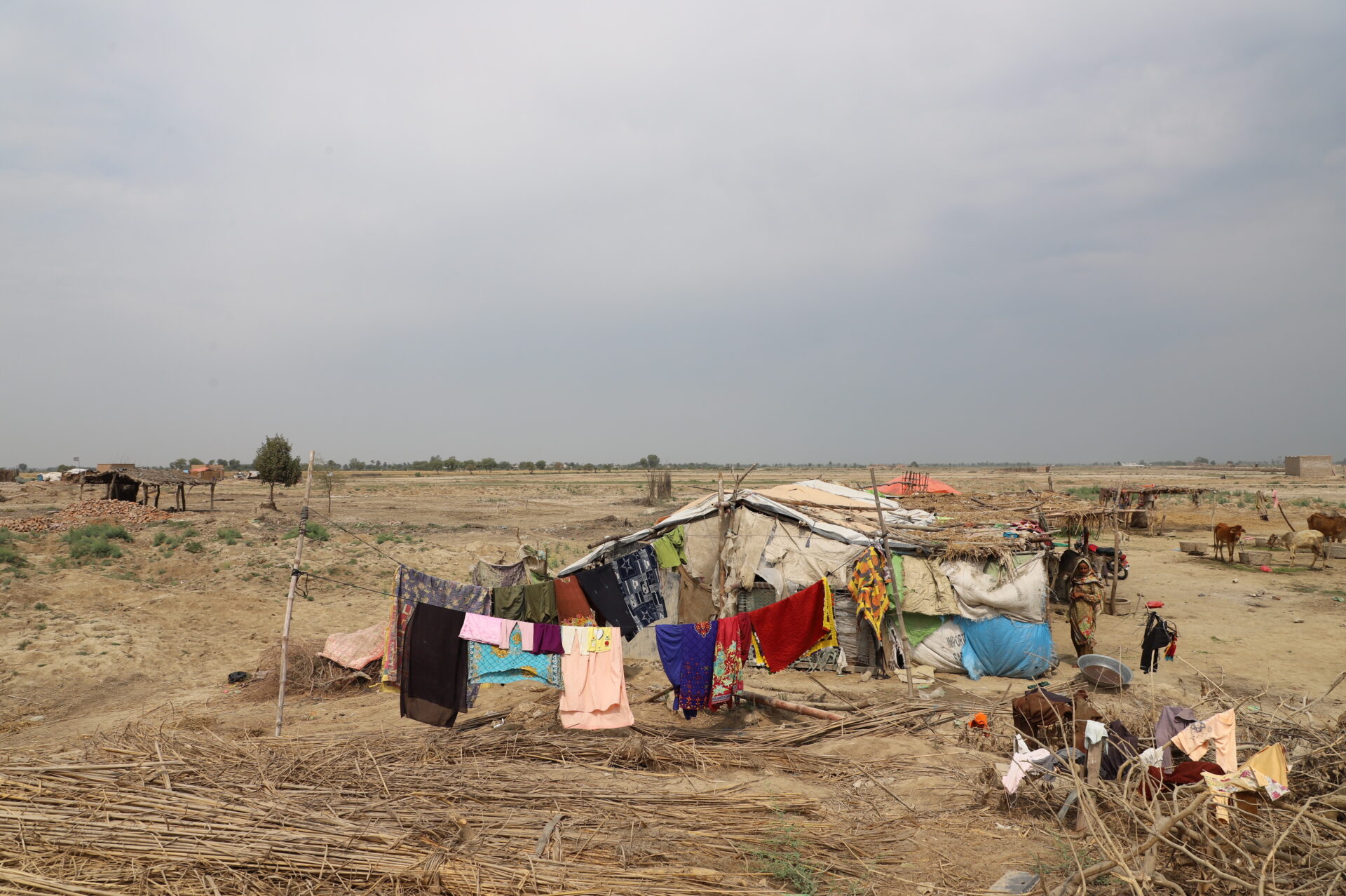 Pakistan. Punhsal Chadio, Sindh province, displaced persons live tenuously months after flooding. 2023 © UNHCR/Zasha Millan